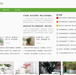 龟背竹知识网