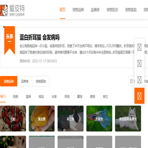 爱宠网您身边养宠指导网