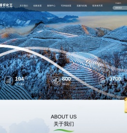 江苏扬农化工股份有限公司