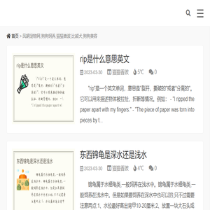 凤娟宠物网,狗狗饲养,猫猫香波,比熊犬,狗狗美容