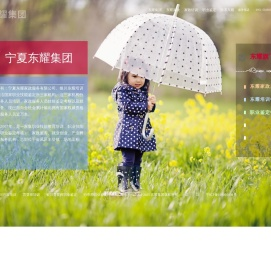东耀集团