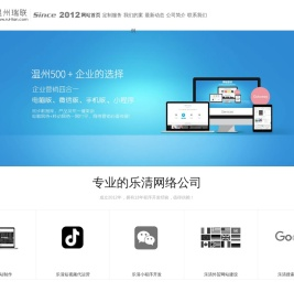 乐清网络公司