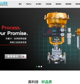 进口阀门