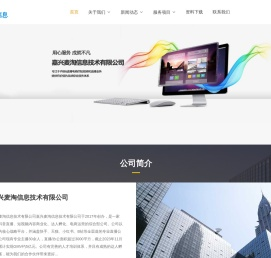 嘉兴麦淘信息技术有限公司