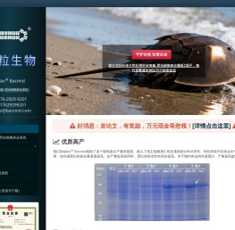 杆状病毒表达系统::昆虫细胞表达系统