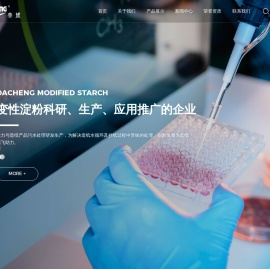 晋州市大成变性淀粉有限公司