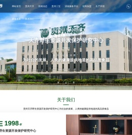 贵州三宝