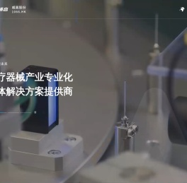 威高股份｜1066.HK