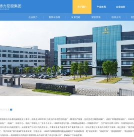 广东德力控股集团