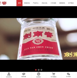 剑南春集团公司
