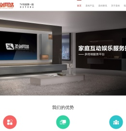 圣剑网络
