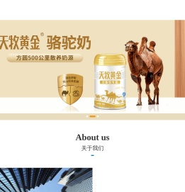 首页