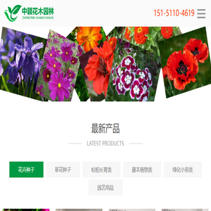 草坪种子