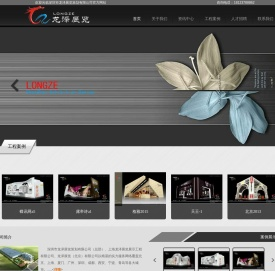 深圳市龙泽展览策划有限公司