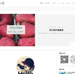 个人编程语言学习