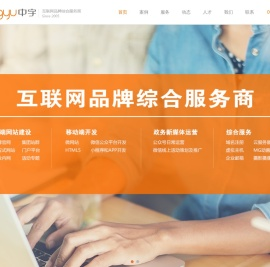 高端定制网站