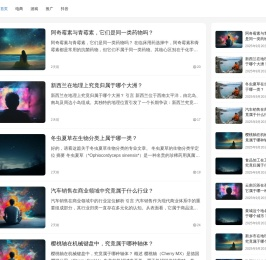 寻觅网
