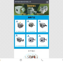 熔体泵
