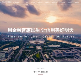 广东中盈盛达融资担保投资股份有限公司