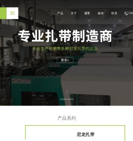 尼龙扎带