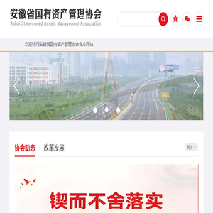 安徽省国有资产管理协会