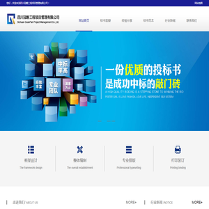 成都标书制作