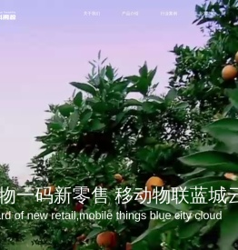 新零售系统解决方案,服务热线：022