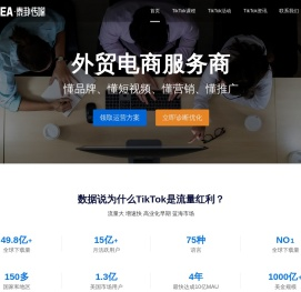 TikTok+AI外贸电商总裁班