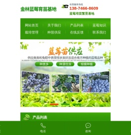 道县柑桔苗销售