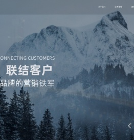 东风卓联汽车服务有限公司