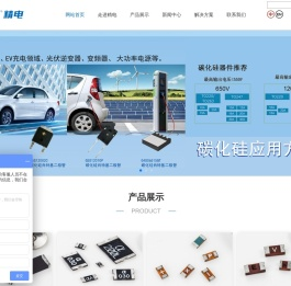 苏州工业园区精电电子有限公司