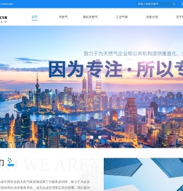 山东气库电子信息科技有限公司