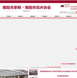南阳月季网,月季网