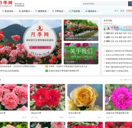 南阳森景月季基地