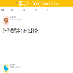懂鸟帝