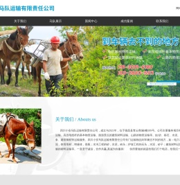 骡子运输队