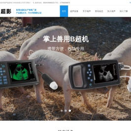 瑞声超影
