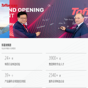 东富龙科技集团股份有限公司