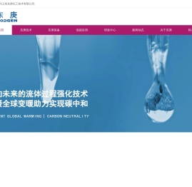 反应与分离专家