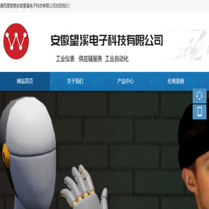 安徽望溪电子科技有限公司