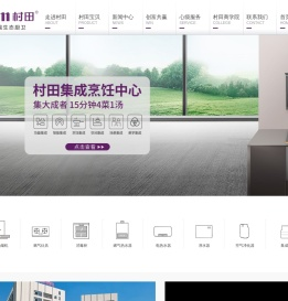 广东村田智能科技有限公司
