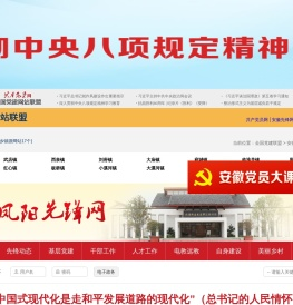 凤阳先锋网