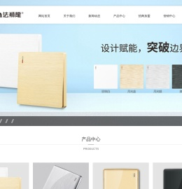 法狮龙电气