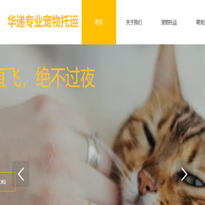 宠物运输