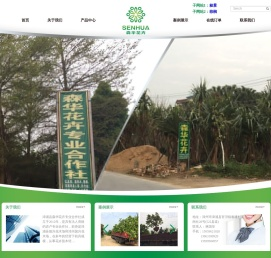 漳浦森华花卉专业合作社