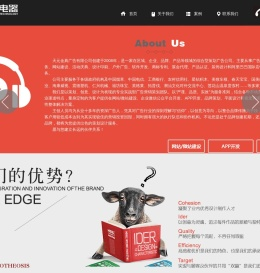 天元金典广告