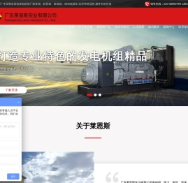广东莱恩斯实业有限公司