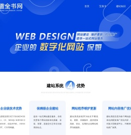 包建站包维护包优化