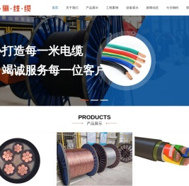 陕西电力电缆厂
