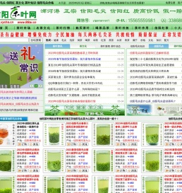 信阳毛尖